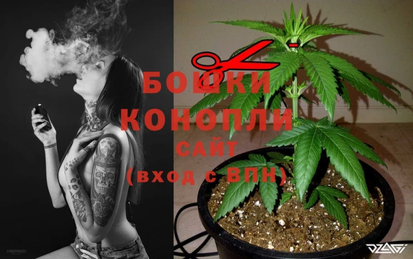 ГАЛЛЮЦИНОГЕННЫЕ ГРИБЫ Майский