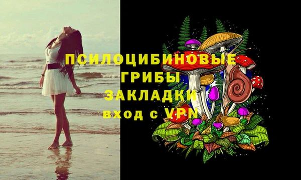 ГАЛЛЮЦИНОГЕННЫЕ ГРИБЫ Майский