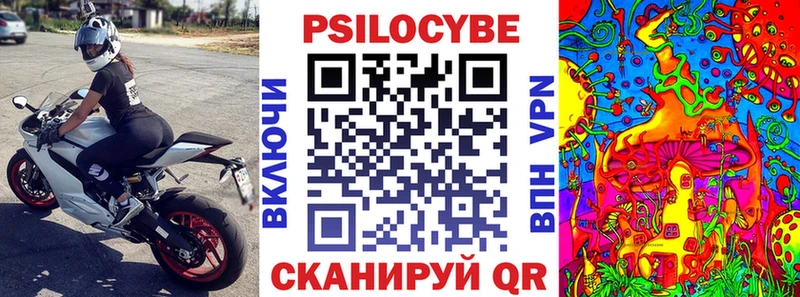 Галлюциногенные грибы Magic Shrooms сколько стоит Черногорск